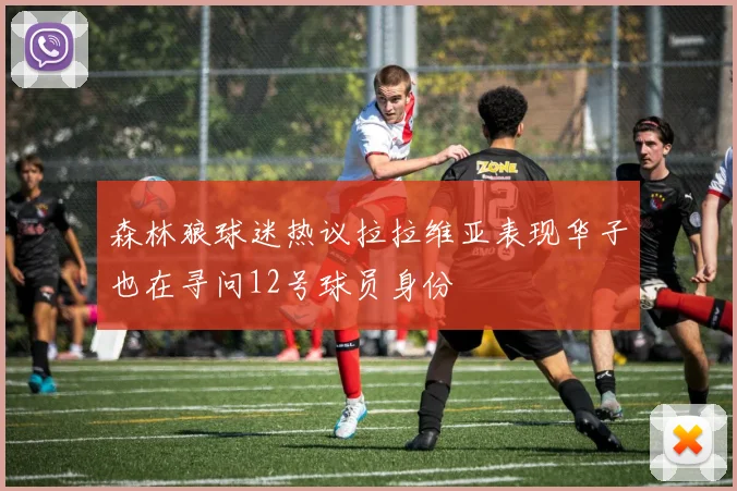 森林狼球迷热议拉拉维亚表现华子也在寻问12号球员身份